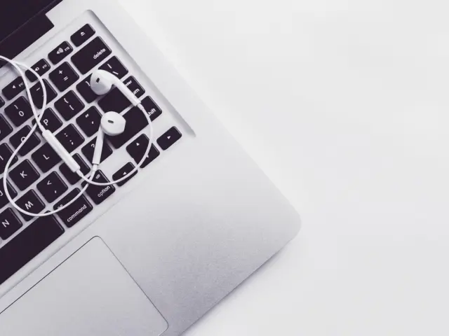 Webbizmagnet.com: Alternatives and What to Weigh