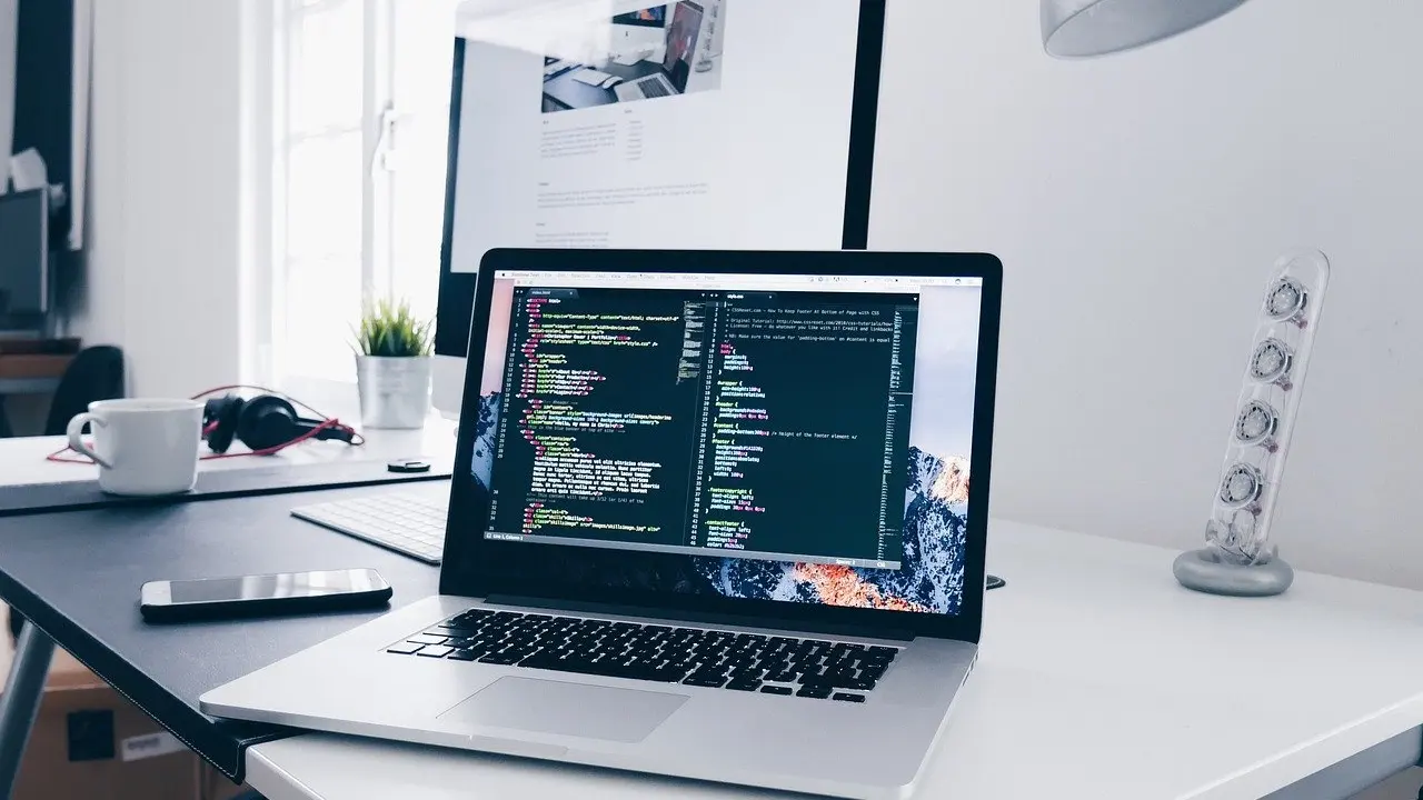 developer career profile
