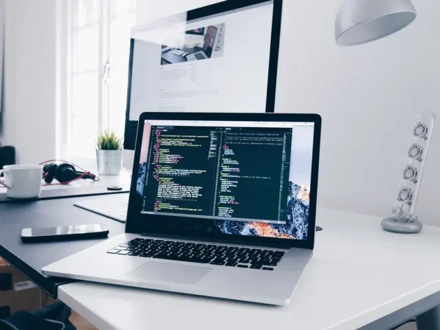 Developer Career Profiles
